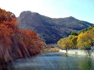 沥青路面裂缝处理，定州seo建站